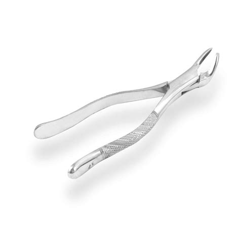 Extracting Forceps Dental Surgical 37 Surgical Mart