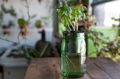 14 Diy Self Watering Planters For The Ones Without A Green Thumb Obsigen