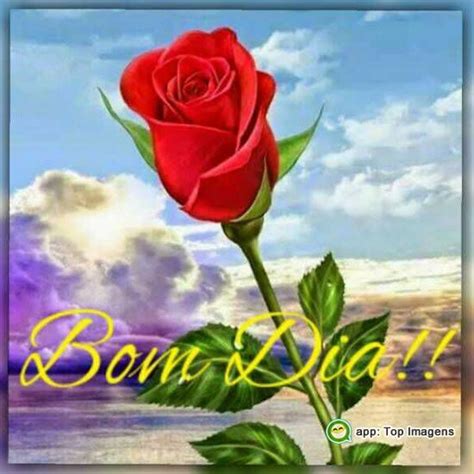 Bom Dia Beautiful Rose Flowers Beautiful Roses Red Roses Wallpaper