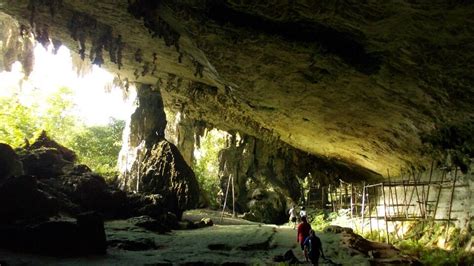 Gua Niah National Park Taman Negara Cave National Parks