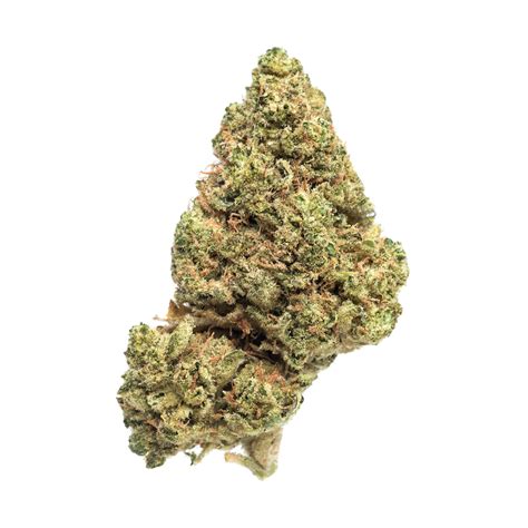 Stardawg Premium Bud Cannabis Shop Online