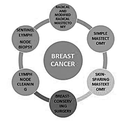 The Stages Of Breast Cancer Figure 2 Surgical Treatment Options For
