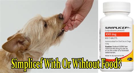 What Does Simplicef Treat In Dogs