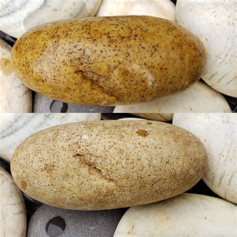 This Rock Looks Exactly Like A Potato Mildlyinteresting