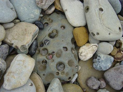 Pengertian Batuan Sedimen Dan Jenis Jenis Batuan Sedi Vrogue Co