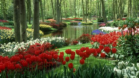 🔥 Download Beautiful Spring Desktop Wallpaper Image By Karil Spring