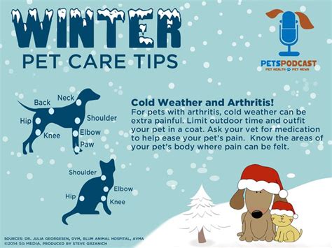 Winter Safety Tips For Pets Winter Safety Pet Care Tips Pet Care