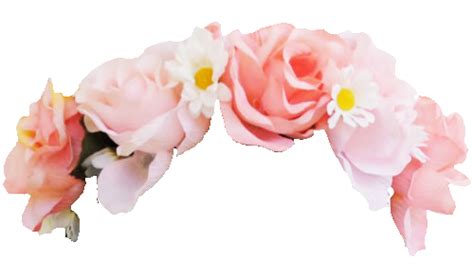 Flower Crown Png Flower Crown Transparent Background Freeiconspng