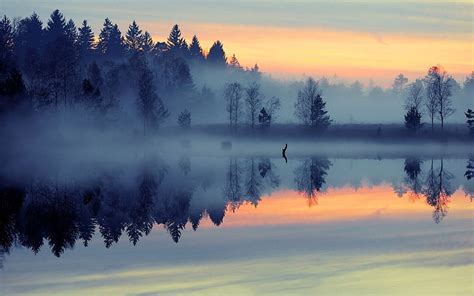 Hd Wallpaper Forest With Fog Nature Landscape Mist Lake