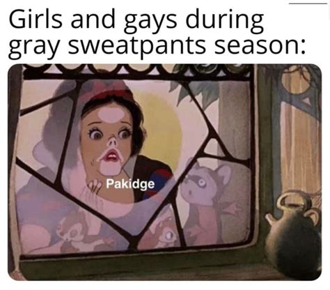 Grey Sweatpants Meme Idlememe