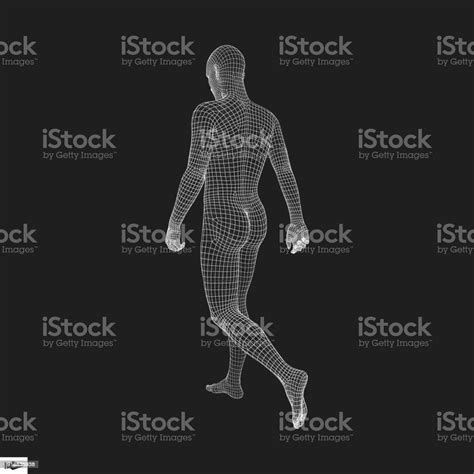 Walking Man 3d Human Body Model Geometric Design Human Body Wire Model