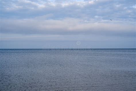 Empty Sea Beach In Autumn With Some Bushes And Dry Grass Stock Photo