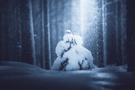 Silence In The Snow Blog Joni Niemelä Fine Art Photography