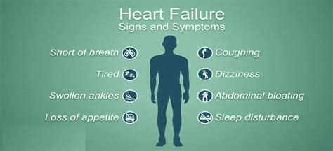 Heart Failure And Its Stages Premier Hospital