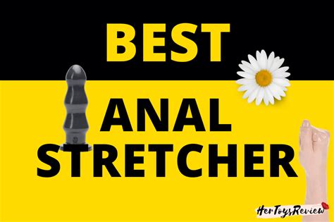 10 Best Anal Stretching Toys How To Use Them