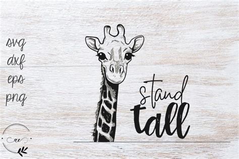 It is based on stephen king 's 1982 novella the body , and the title derives from ben e. Stand Tall Giraffe Inspirational Quote #ad | Be an example quotes, Giraffe, Graphic illustration