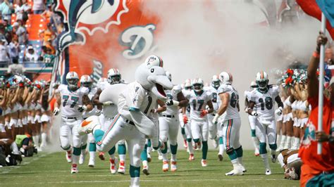 Tons of awesome miami dolphin wallpapers to download for free. Miami Dolphins Background Wallpaper (76+ images)