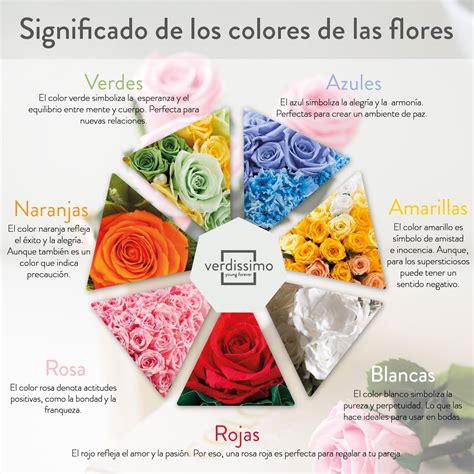 Que Significa El Significado De Los Colores De Las Rosas Descargar Musica Mp
