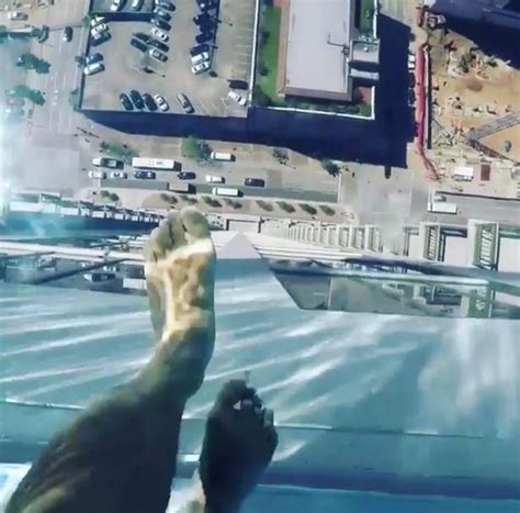 The average cost to build an inground pool is $28,000 to $55,000. Daredevil swimmers 'walk on air' in glass bottomed ...