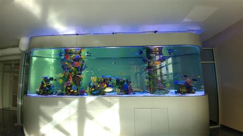 5000 Gallon Aquarium Installed At My Work Aquariums