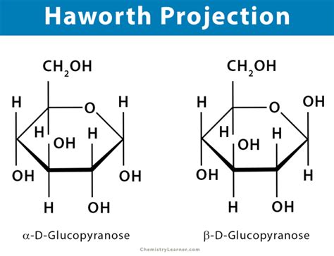 Haworth Projection Definition Illustration And Examples