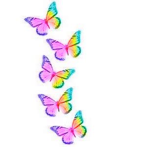Find high quality rainbow clipart, all png clipart images with transparent backgroud can be download for free! Rainbow Butterfly clipart borders vector - Pencil and in ...