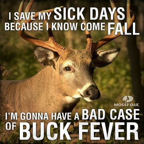 73 Best Images About Hunting Memes On Pinterest Deer