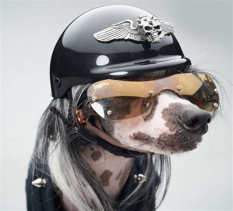 Biker Dog Accessories Winged Spiked Skull Dog Helmet Dogies