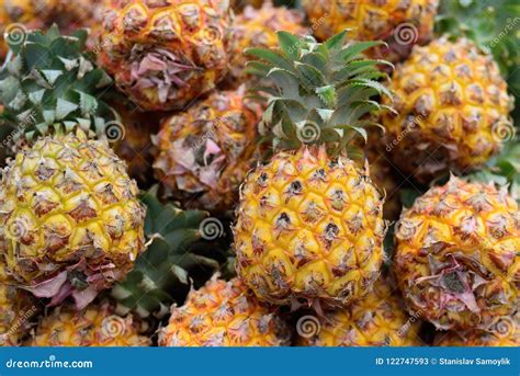 Stacks Of Fresh Whole Pineapple Fruits At Israel Farmers Market Stock