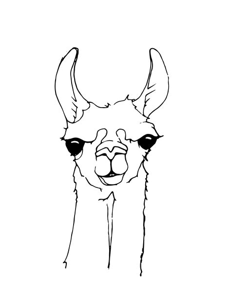 Llama Coloring Pages Best Coloring Pages For Kids Llama Drawing