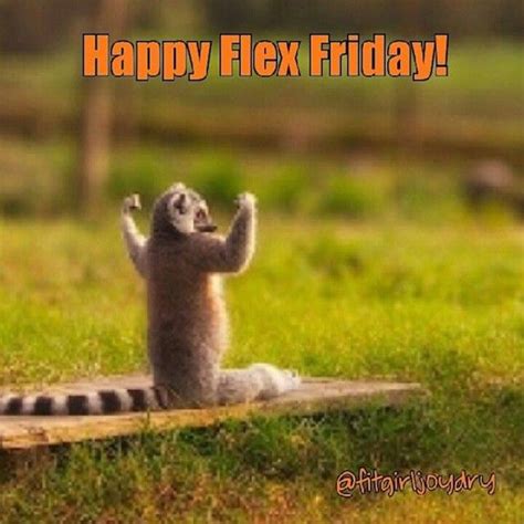 Flex Friday 12 Gym Humor Pinterest Flex Friday Motivation And