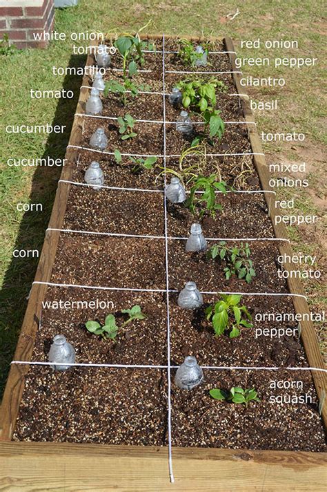 Square foot garden plans help you make the best of your square foot garden space. Easy Steps To Square Foot Gardening Success | The Garden Glove