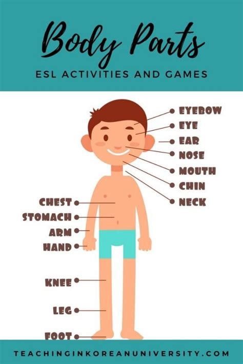 ⬤ our internal organs in english. Parts of the Body ESL Activities, Games, Worksheets ...