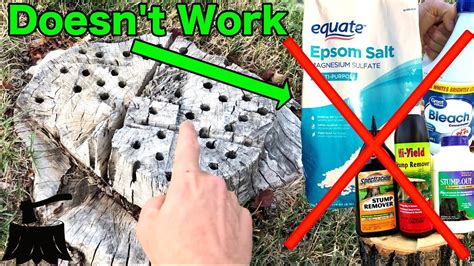 Even smaller tree stumps can be difficult to remove, due to roots which reach deep into the ground. How To Rot A Tree Stump (The Only Way That Works) - YouTube
