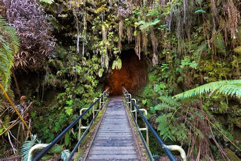 Hawaiis Famous Lava Tubes The Complete Guide