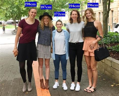 australian bball team by zaratustraelsabio on deviantart tall women tall girl tall people