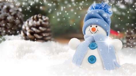 Real Snowman Wallpapers Wallpaper Cave