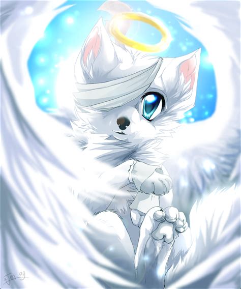 Anime Angel Wolves With Wings Animeza