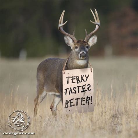 Eat Terkey Deer Hunting Humor Hunting Humor Deer Hunting Memes