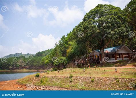 Beautiful Natural Scene Of Greenery Forest And Lake Royalty Free Stock