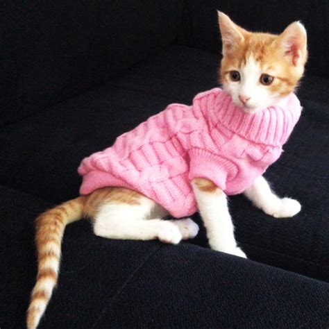 Winter Warm Pet Cat Clothes Solid Knitted Sweater Clothing For Small