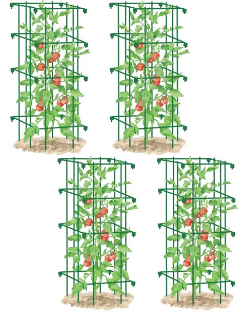 Square Tomato Cages Set Of 4 Best Cages Tomato