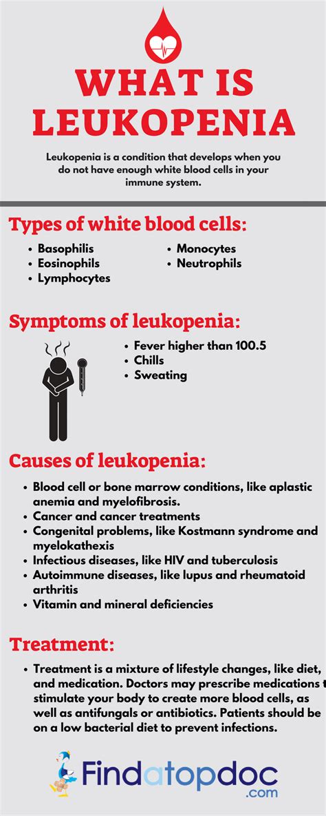 What Is Leukopenia Symptoms Causes And Treatment