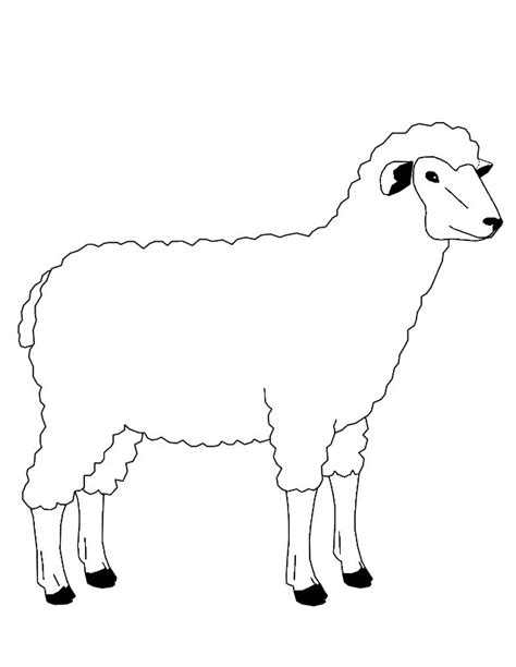 Coloriage Mouton Animaux Dessin Colorier Coloriages
