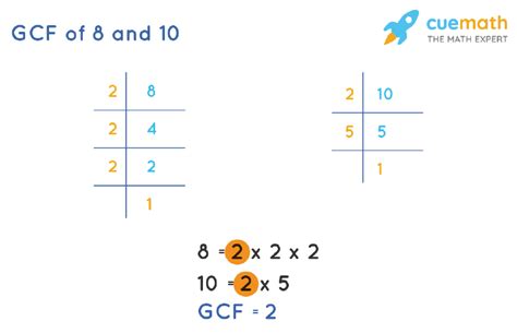 Grade 5 Math Worksheets Multiplying Fractions By Whole Numbers K5