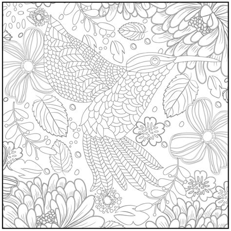 spring coloring pages  adults hummingbird  flowers