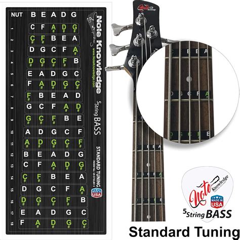 Amazon Com String Bass Guitar Fretboard Note Map Decals Stickers Musical Instruments