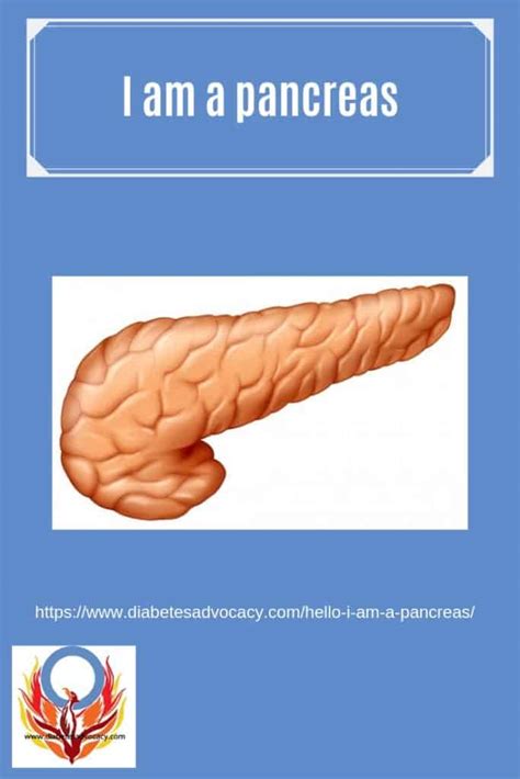 Pancreas Pin Diabetes Advocacy