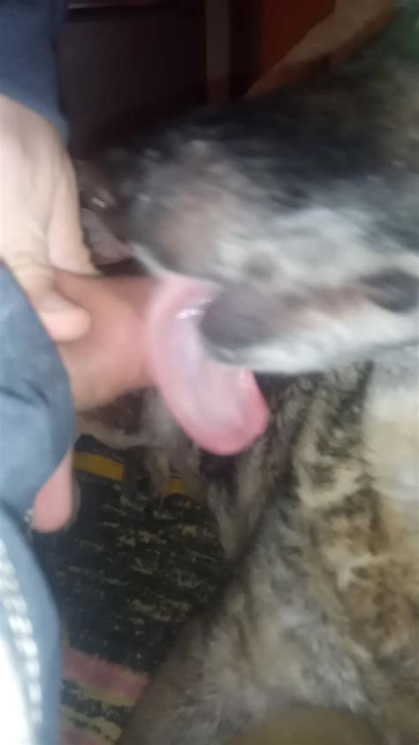 My Dog Loves To Lick My Cock 1