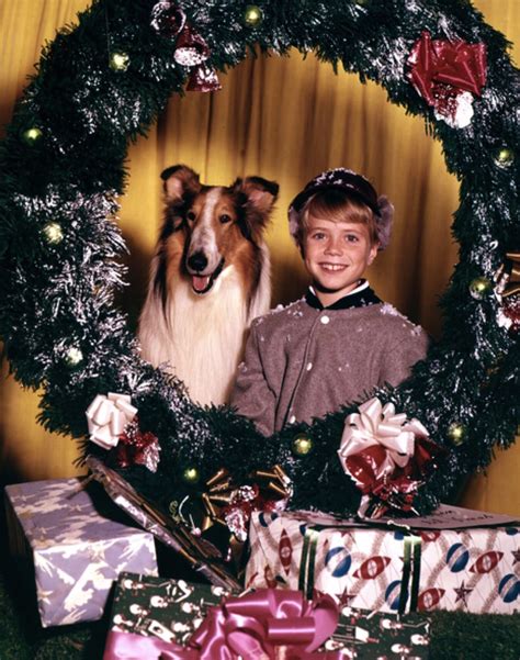 Timmy And Lassie Jon Provost Classic Television Happy Birthday Mom